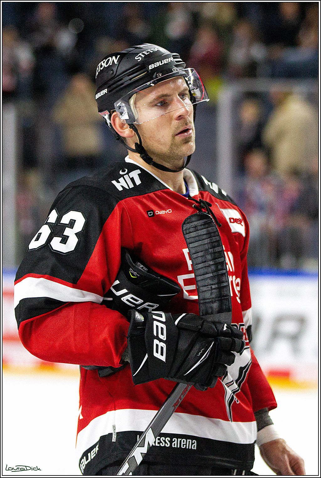 PENNY DEL;  Koelner Haie - Straubing Tigers; Koeln, 15.10.2021